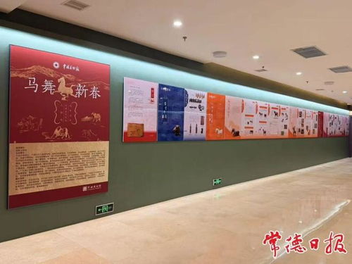 馬年赴常德博物館觀馬展 一場穿越千年的文化藝術之旅